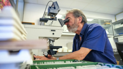 El neurocientífico Salvador Martínez, científico principal de la investigación. EFE/Pablo Miranzo