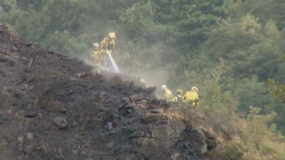 Los bomberos trabajan en los 14 incendios que siguen activos en España./ Aragón TV