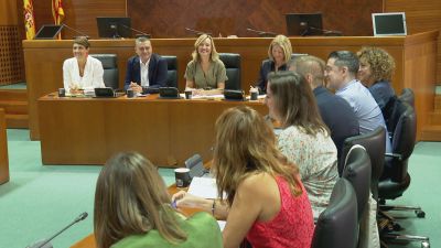 Reunión del PSOE en las Cortes de Aragón./ Aragón TV