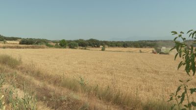 A pesar de que España produce unos 25 millones de toneladas, no es suficiente para el consumo interno. / Aragón TV