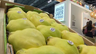 El sector de la fruta se reune en torno a la Fruit Attraction de Madrid. / Aragón Tv