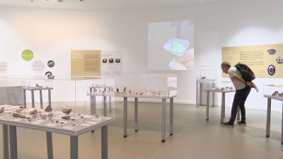 Sala de la exposición de Gemas de España en la Universidad de Zaragoza./ Aragón TV