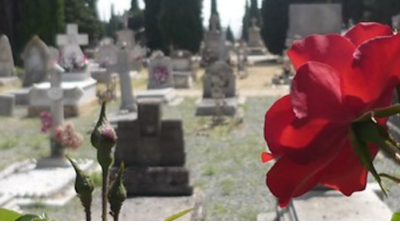 Cementerio de Torrero (Zaragoza). / Ayuntamiento de Zaragoza