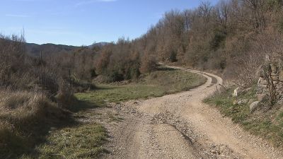 El protocolo contempla la mejora y asfaltado de una pista forestal de 15 kilómetros. / Aragón TV