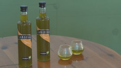 El aceite del Somontano entra en el registro de DOP de la Unión Europea y refuerza su prestigio / Aragón Noticias