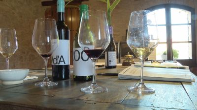 Los bodegueros del Matarraña ya han iniciado los trámites administrativos para lograr que sus vinos se abran a nuevos mercados internacionales. / Aragón TV