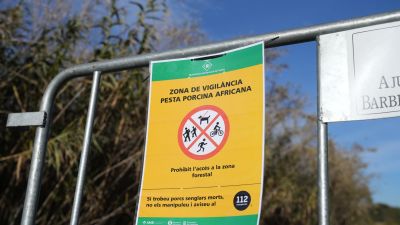 Vallas para cortar el paso de los agentes rurales de los Mossos d'Esquadra en las zonas restringidas por la cuarentena ante la peste porcina africana./ Europa Press. D.Zorrakino.