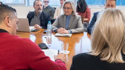 Reunión de la Mesa Sectorial de Sanidad./ Fabián Simón / Gobierno de Aragón