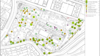 Plano de la plantación prevista / Ayuntamiento de Zaragoza
