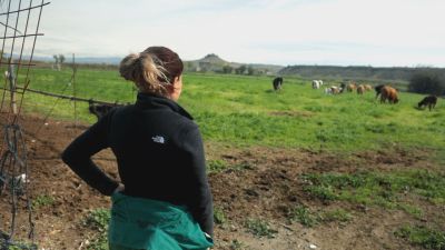El campo es nuestro recibirá el premio Iris el próximo 16 de febrero./ Aragón TV