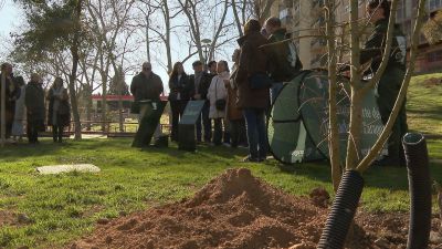 Este sábado se ha realizado una primera plantación simbólica de la mano de Salgar. / Aragón TV