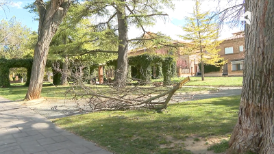 Parque cerrado en Zaragoza por viento este domingo por la tarde / Aragón TV