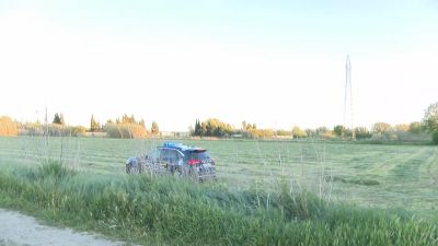 Zona de la ribera del río Gállego donde se ha encontrado en cuerpo de Ares Tiziano. / Aragón TV