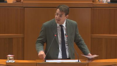 El diputado de CHA, Jorge Pueyo, en la segunda sesión del pleno de investidura. / Aragón TV