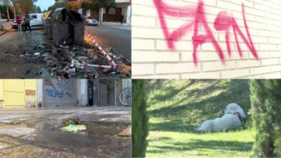 Los grafittis, incendiar contenedores, dormir en un parque o no recoger los excrementos de perro acarrean multas. / Aragón Tv