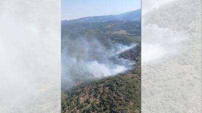 El fuego afecta a una zona de monte entre Luesia y  Uncastillo. / Aragón Noticias