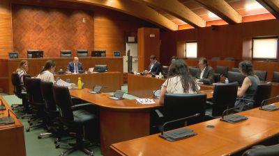 Comparecencia en las Cortes de Jesús María Royo este lunes. / Aragón TV