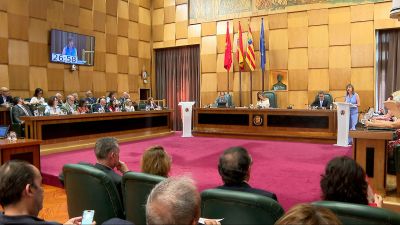 Pleno del miércoles