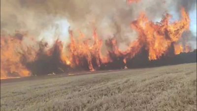 Los efectivos trabajan sin descanso para tratar de controlar el fuego en las Cinco Villas.