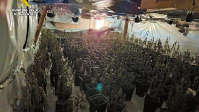 Plantación desmantelada en Bañón (Teruel)