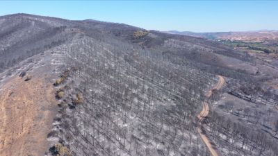 Los incendios más graves que han afectado a Aragón en los últimos años.