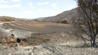 El incendio de las Cinco Villas ha arrasado más de 15.400 hectáreas de terreno.