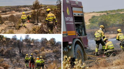 Trabajos de consolidación del perímetro en la zona del incendio declarado en las Cinco Villas.