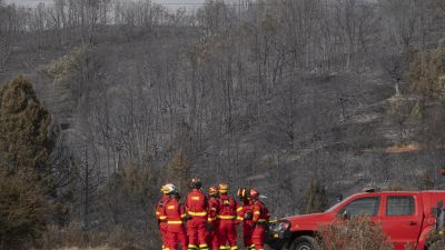 Incendio forestal declarado este martes en Selas (Guadalajara).
