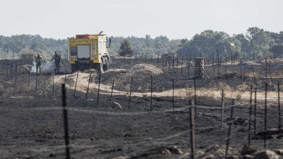 Labores de de extinción en Brieva, Segovia, Castilla y León. Nacho Valverde / Europa Press21/7/2026