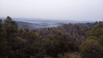 Imagen del estado del incendio de La Cerollera, este viernes.
