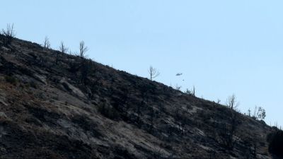 El operativo ha logrado frenar el avance del incendio de Ejulve este sábado.
