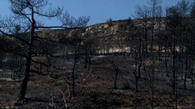 Terreno calcinado en Ejulve, Teruel