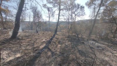 Zona quemada en el incendio de La Cerollera, en la pronvicia de Teruel.