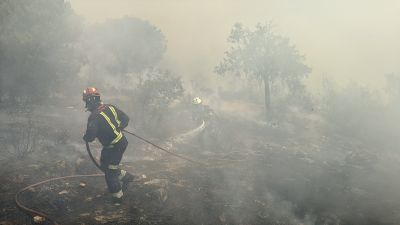 Las labores han sido positivas en las inmediaciones del río Cofio, la zona más crítica de la sierra madrileña.
