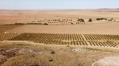Zona de El Regallo, donde se prevé ubicar la nueva plataforma logística de Alcañiz.
