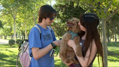 La educación y la socialización de los perros desde que son cachorros son la mejor prevención.