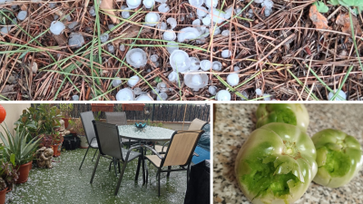Efectos de la tormenta acompañada de pedrisco.