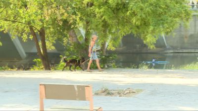 Calor. Orilla del Ebro. Zaragoza. Paseante y piragüista.