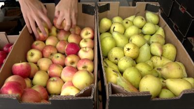 El calor también afecta a las fruterías