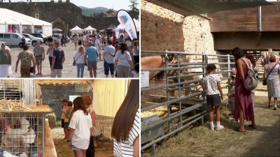 La Expofería de Sobrarbe se celebra este fin de semana en Aínsa (Huesca)