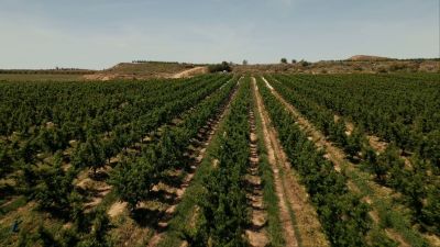 Se trata de un proyecto que esperan genere más resultados en los próximos años.