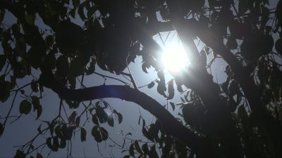 La Aemet ha anunciado cielo poco nuboso o despejado y temperaturas en ligero ascenso.