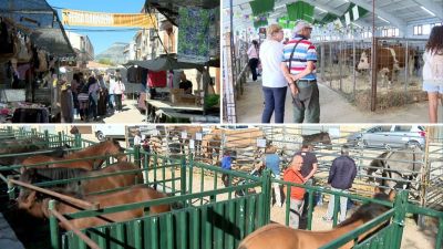 Feria de Cantavieja