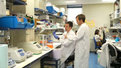 Investigadores del Centro Nacional de Investigaciones Oncológicas (CNIO).