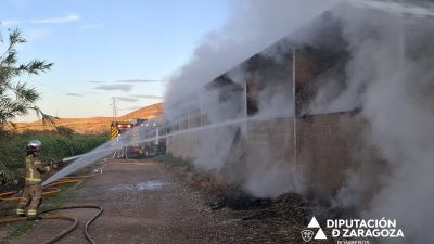 El fuego se ha declarado en una nave agrícola que almacena alfalfa. / DPZ