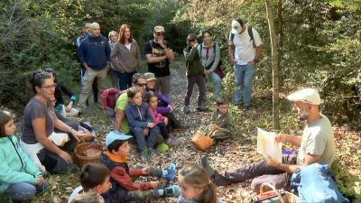 Estas jornadas micológicas tienen lugar este fin de semana en la localidad de Panticosa, en Huesca.