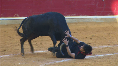 Un joven es golpeado por una vaquilla este 12 de octubre en Zaragoza.