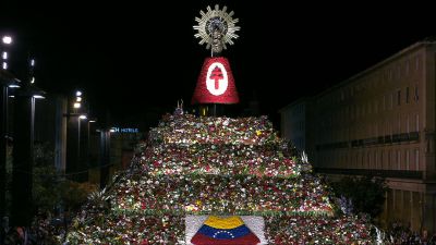 El manto de flores ya cubre por completo la estructura.
