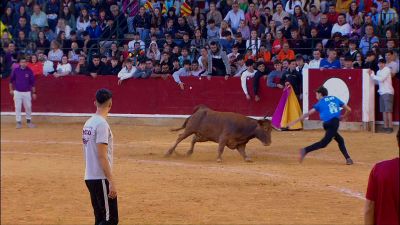 Una de las escenas que se ha vivido en la tercera jornada de vaquillas de las Fiestas del Pilar 2026.