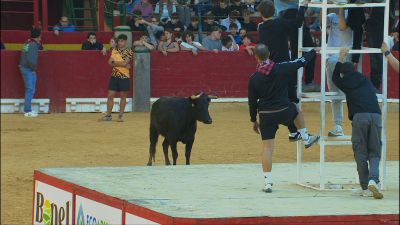 Lleno en el cuarto día de vaquillas en la plaza de la Misericordia de Zaragoza.